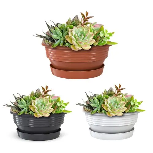 Plastard Pflanzschalen – 3 Farben