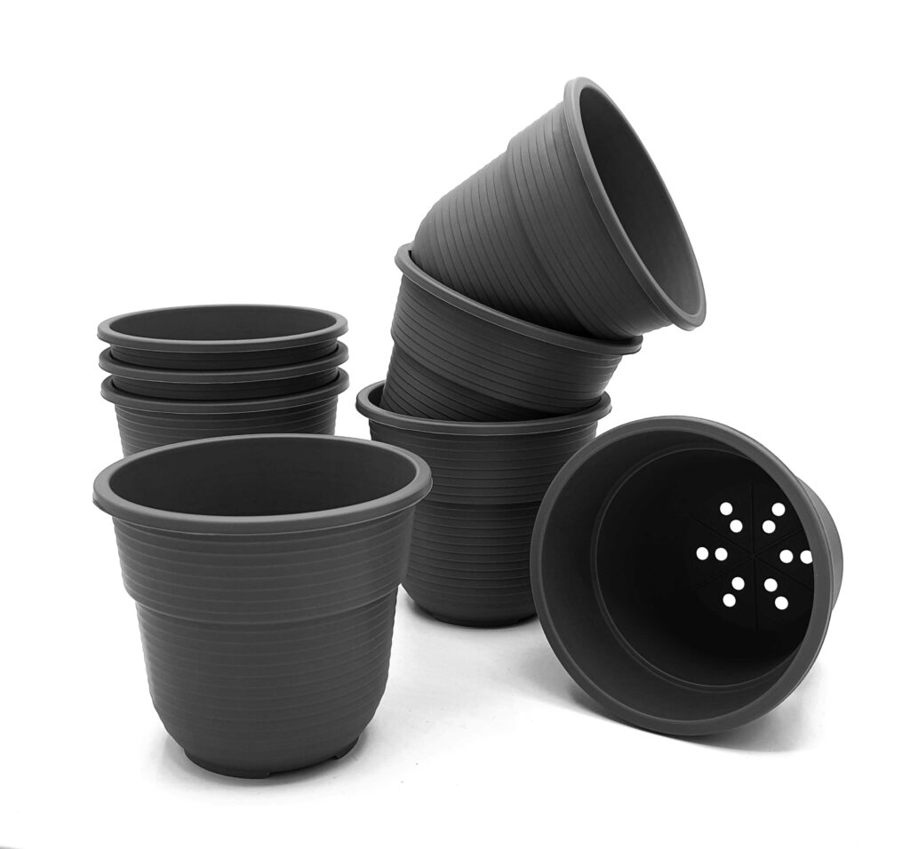 plastard